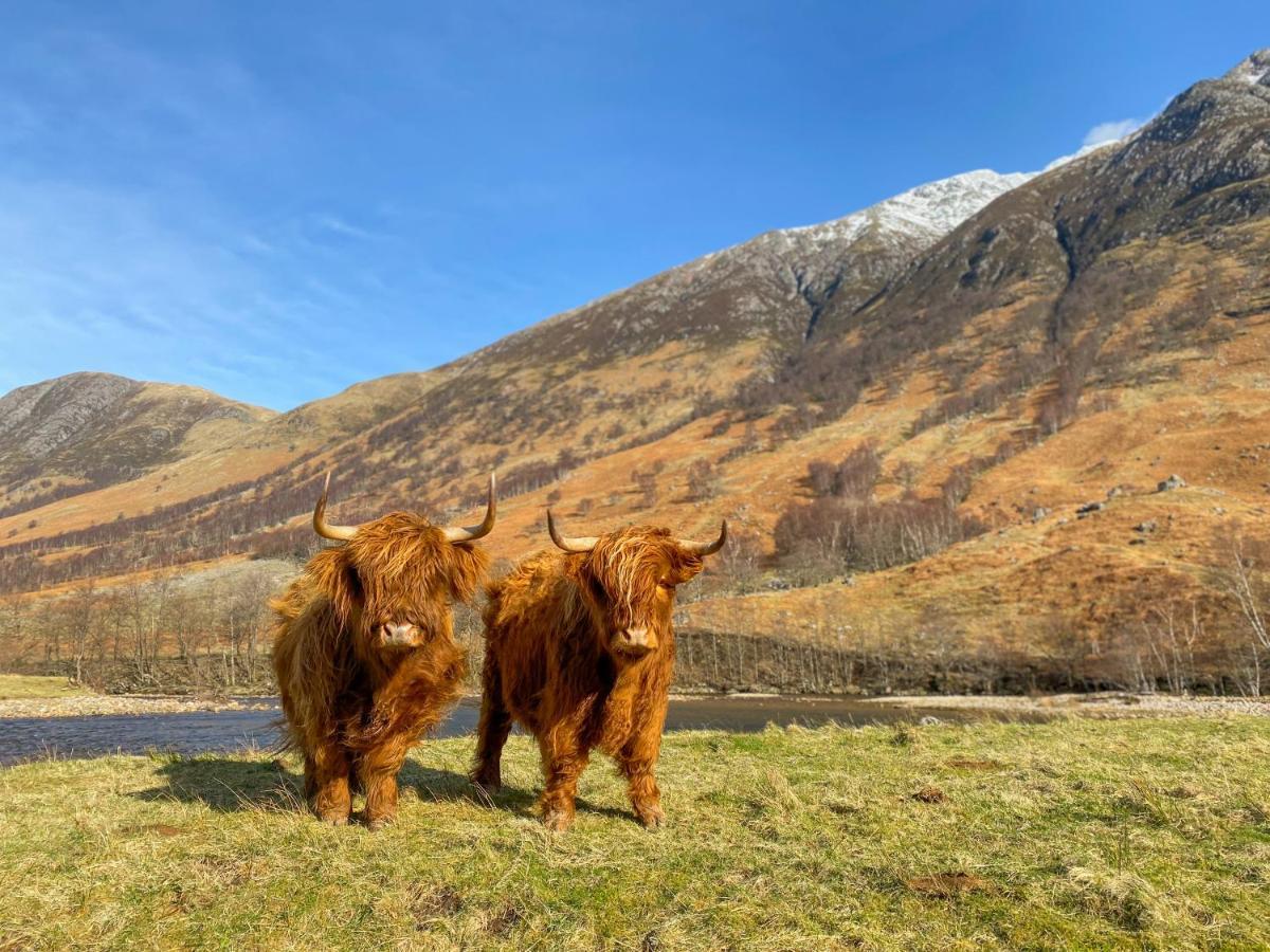 Glen Nevis Holidays Fort William Esterno foto