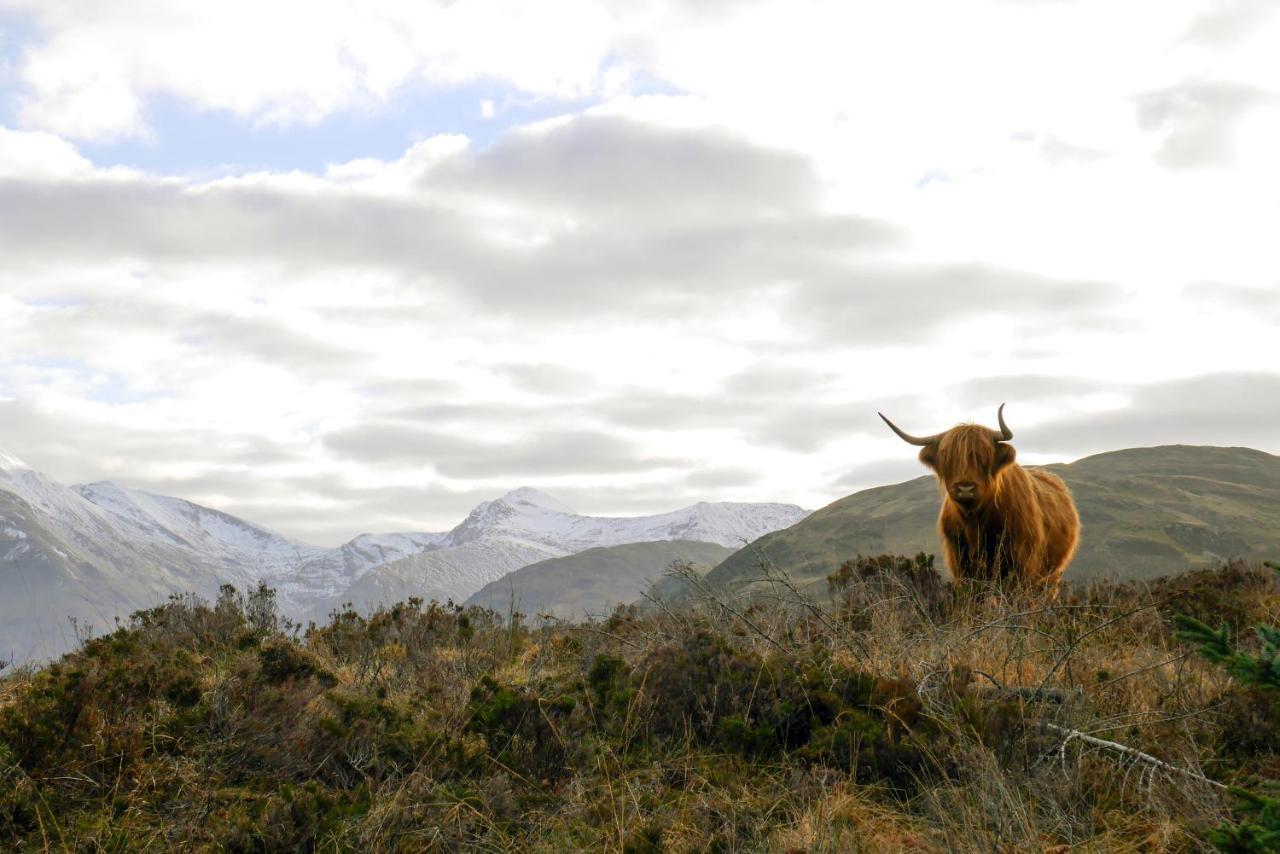 Glen Nevis Holidays Fort William Esterno foto