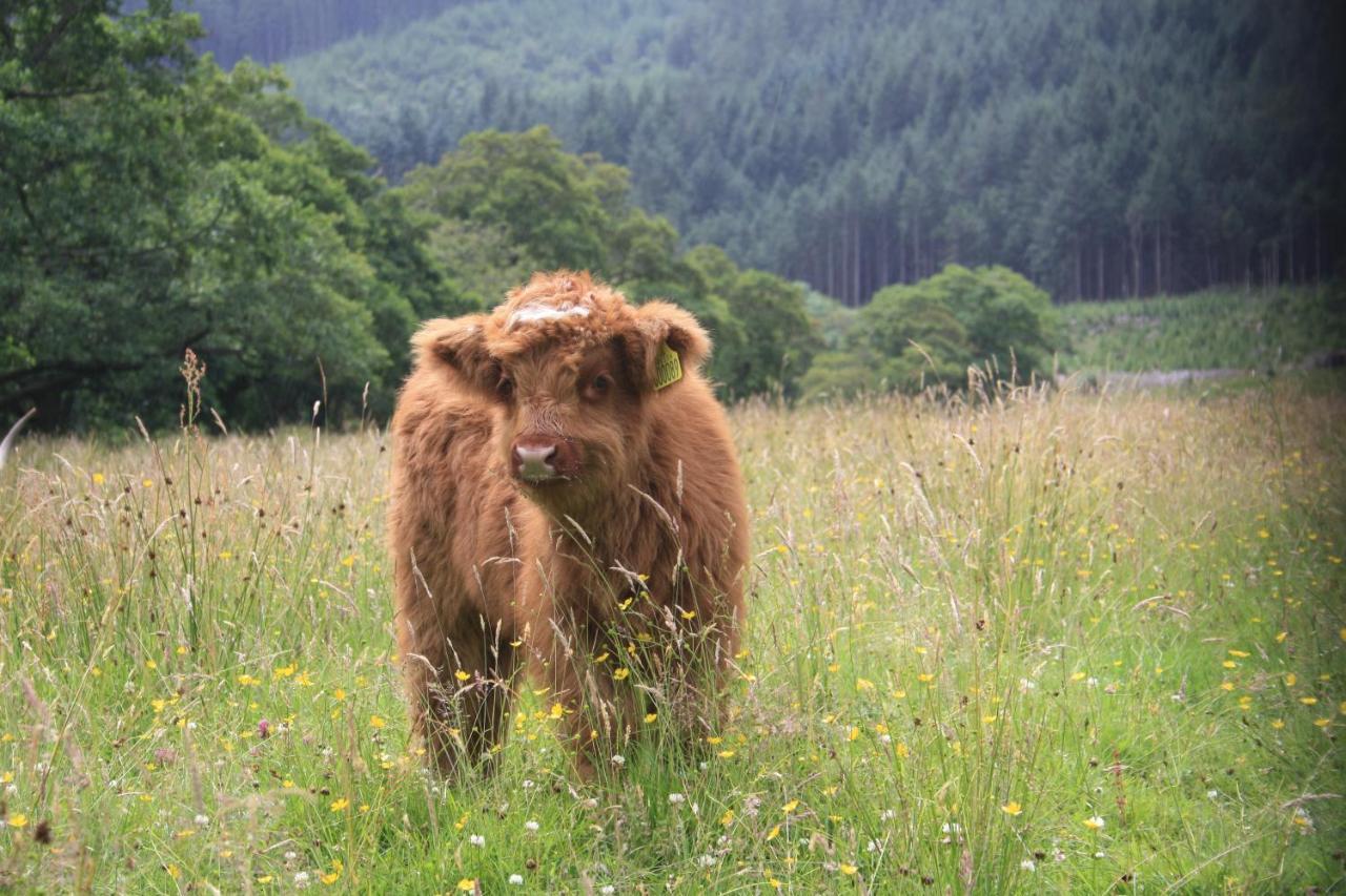 Glen Nevis Holidays Fort William Esterno foto