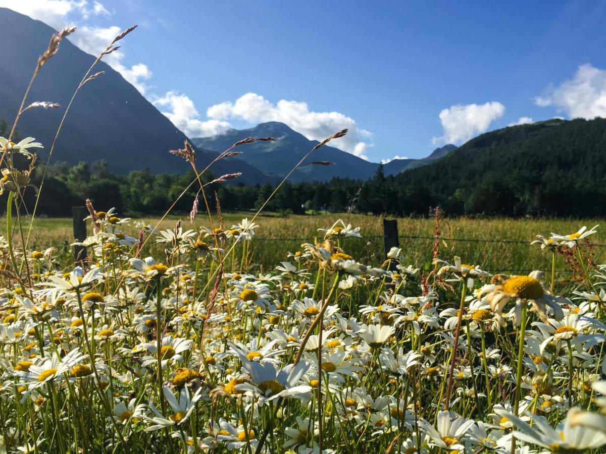 Glen Nevis Holidays Fort William Esterno foto